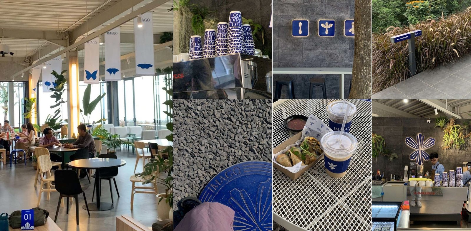 Imago Hills cafe interior and branded cups